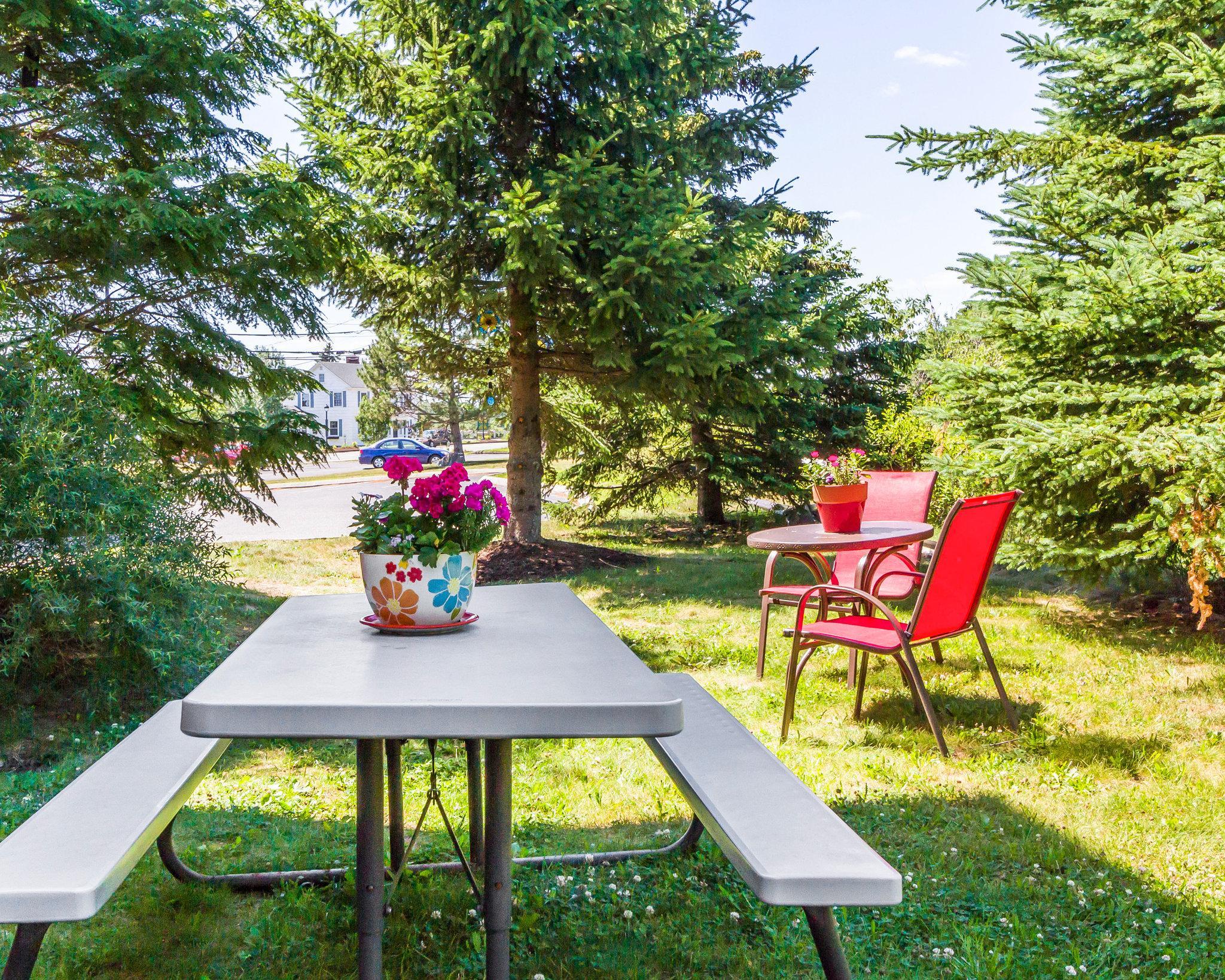 Comfort Inn Ellsworth - Bar Harbor Экстерьер фото
