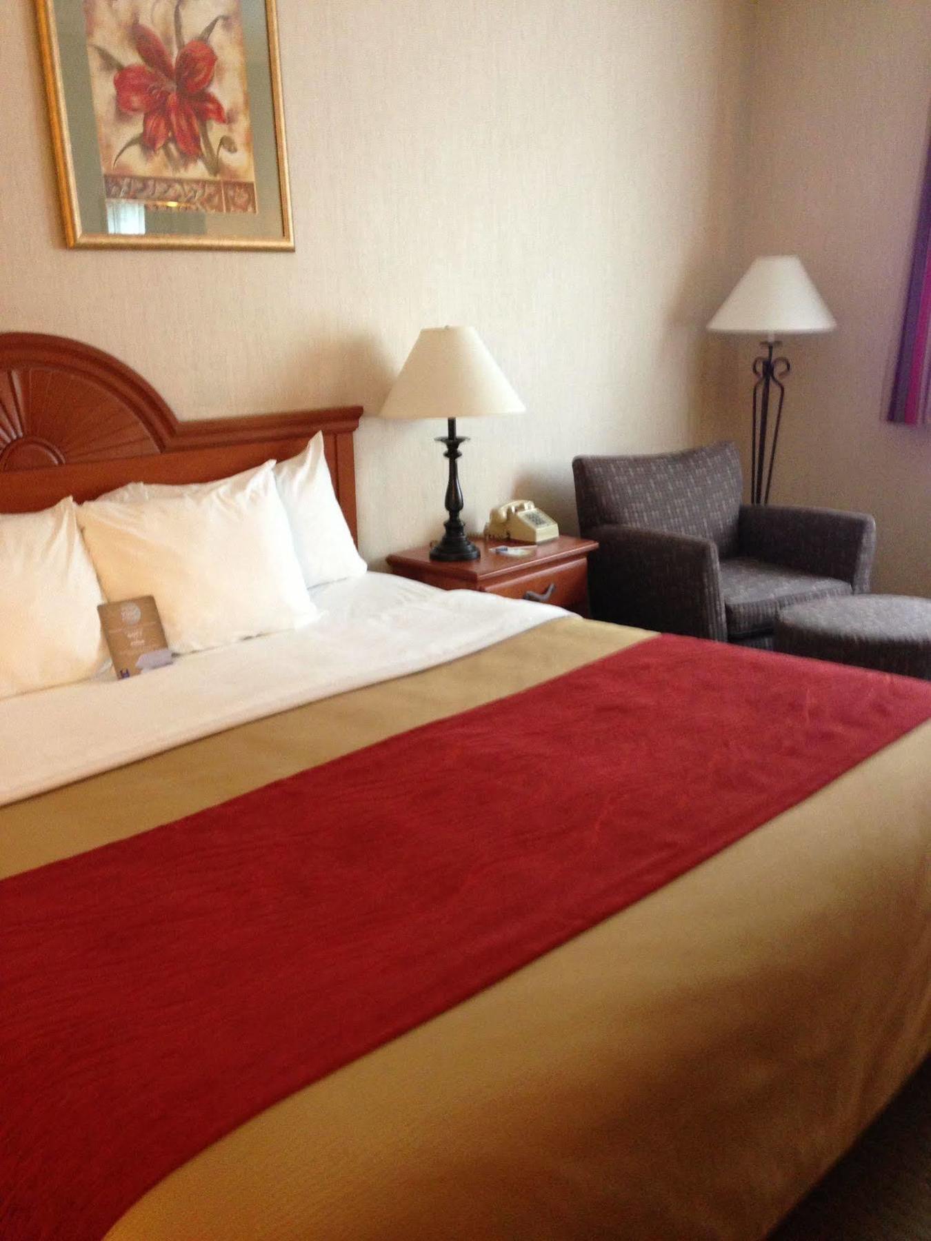 Comfort Inn Ellsworth - Bar Harbor Экстерьер фото